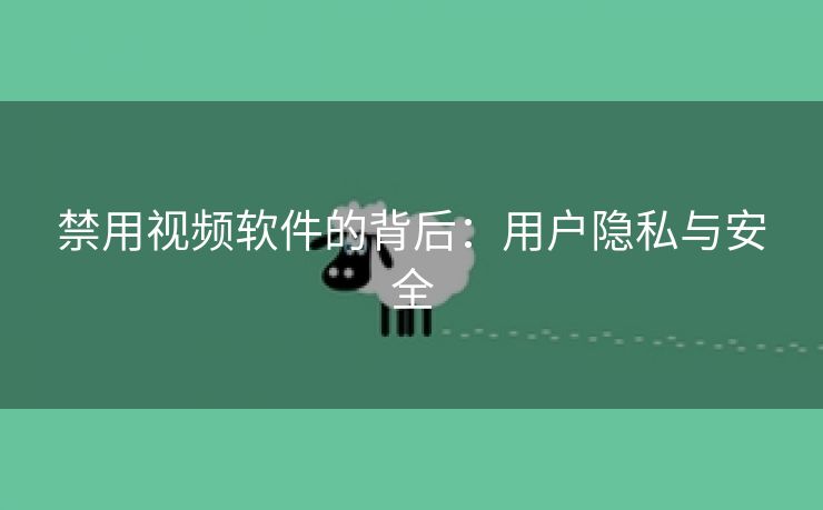 禁用视频软件的背后：用户隐私与安全