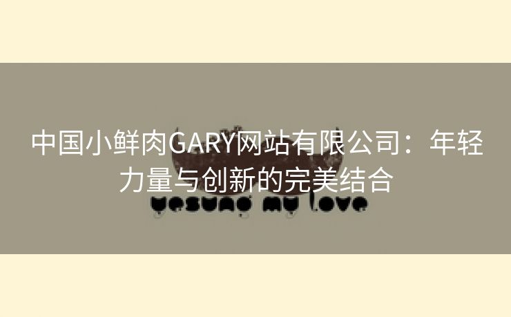 中国小鲜肉GARY网站有限公司：年轻力量与创新的完美结合