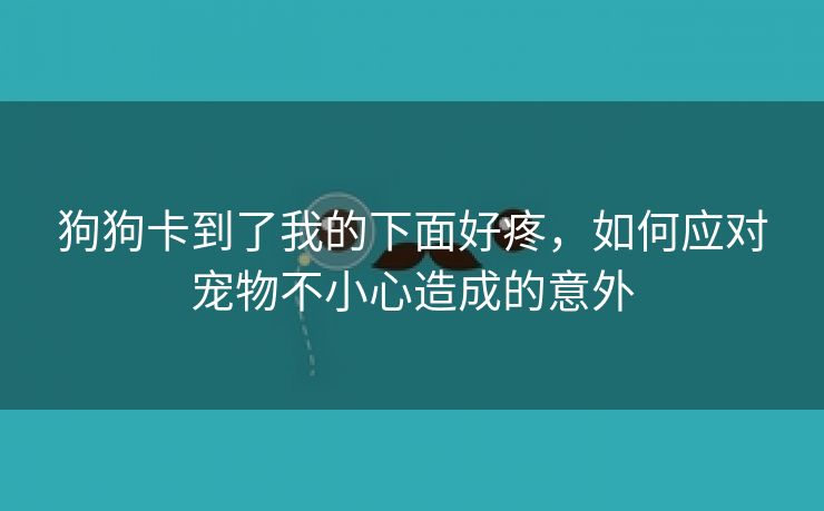 狗狗卡到了我的下面好疼，如何应对宠物不小心造成的意外