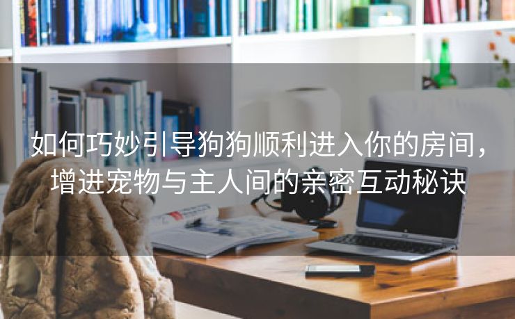 如何巧妙引导狗狗顺利进入你的房间，增进宠物与主人间的亲密互动秘诀