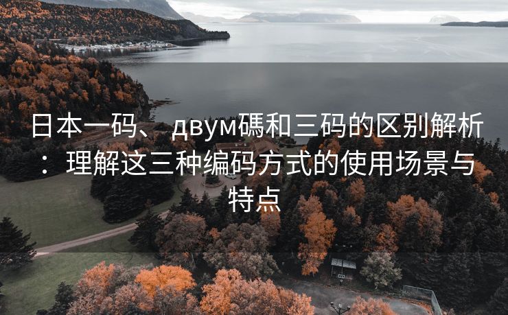 日本一码、 двум碼和三码的区别解析：理解这三种编码方式的使用场景与特点