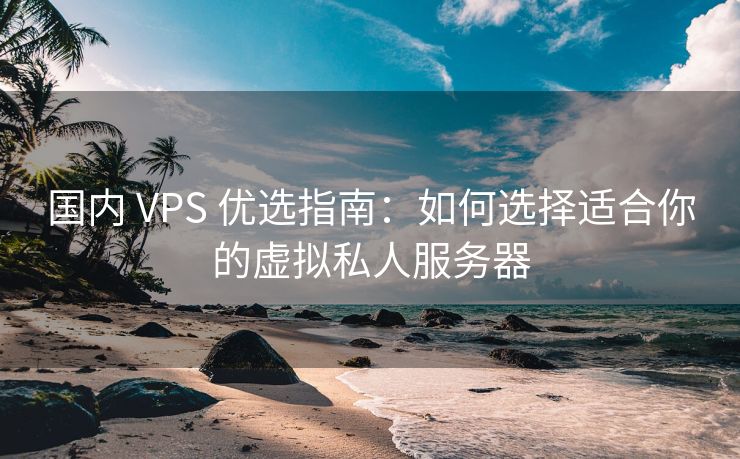 国内 VPS 优选指南：如何选择适合你的虚拟私人服务器