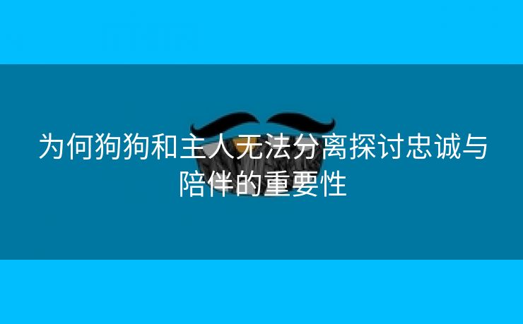 为何狗狗和主人无法分离探讨忠诚与陪伴的重要性