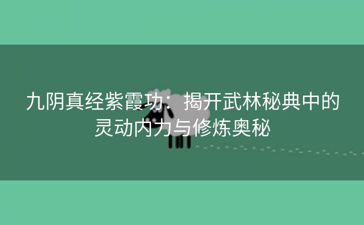 九阴真经紫霞功：揭开武林秘典中的灵动内力与修炼奥秘