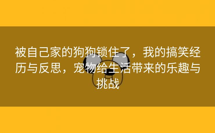 被自己家的狗狗锁住了，我的搞笑经历与反思，宠物给生活带来的乐趣与挑战