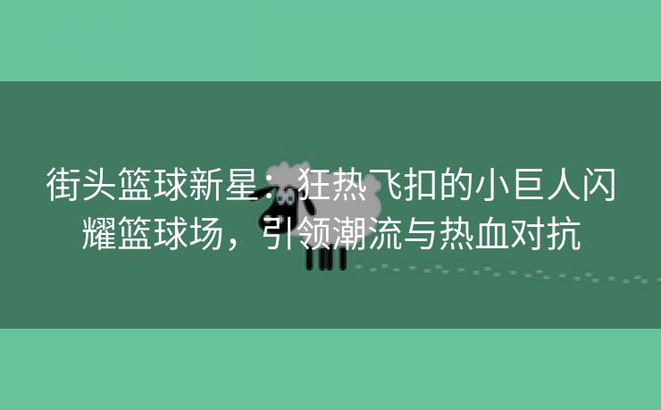 街头篮球新星：狂热飞扣的小巨人闪耀篮球场，引领潮流与热血对抗