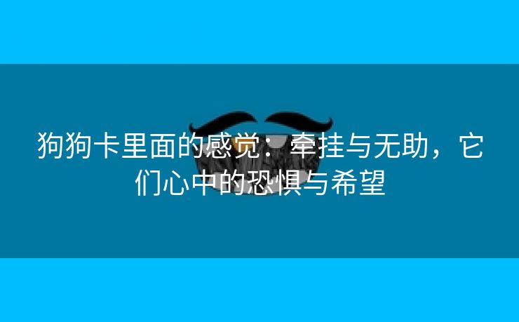 狗狗卡里面的感觉：牵挂与无助，它们心中的恐惧与希望