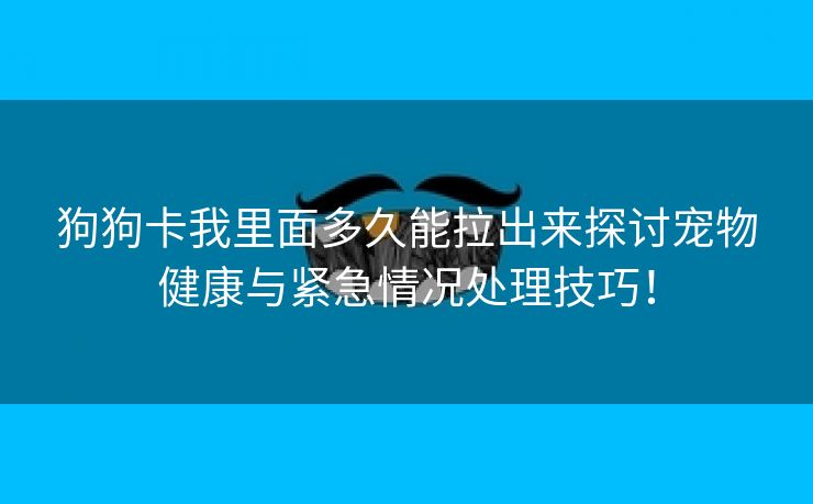 狗狗卡我里面多久能拉出来探讨宠物健康与紧急情况处理技巧！