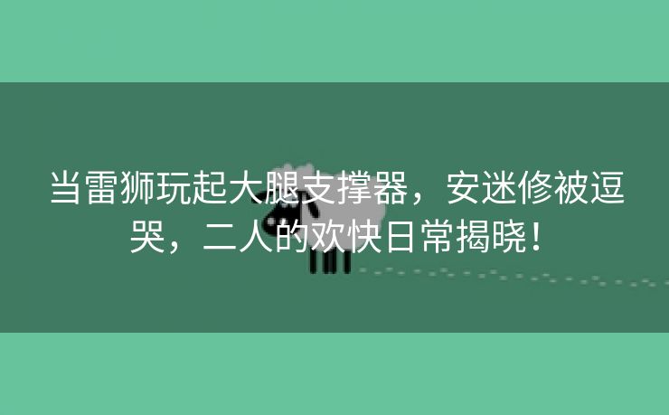 当雷狮玩起大腿支撑器，安迷修被逗哭，二人的欢快日常揭晓！