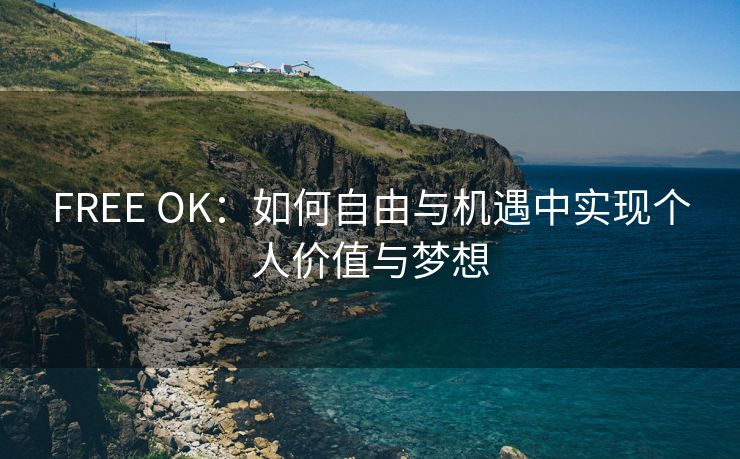 FREE OK：如何自由与机遇中实现个人价值与梦想