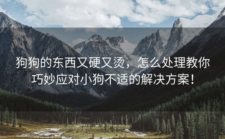 狗狗的东西又硬又烫，怎么处理教你巧妙应对小狗不适的解决方案！