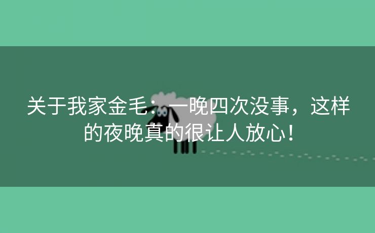 关于我家金毛：一晚四次没事，这样的夜晚真的很让人放心！