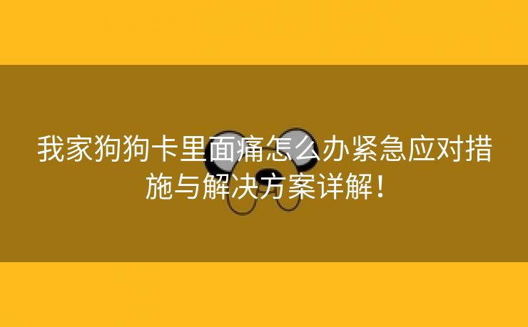 我家狗狗卡里面痛怎么办紧急应对措施与解决方案详解！