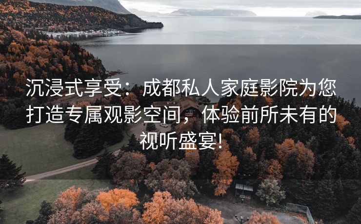 沉浸式享受：成都私人家庭影院为您打造专属观影空间，体验前所未有的视听盛宴!