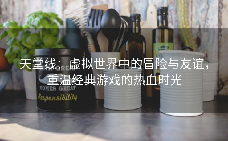 天堂线：虚拟世界中的冒险与友谊，重温经典游戏的热血时光