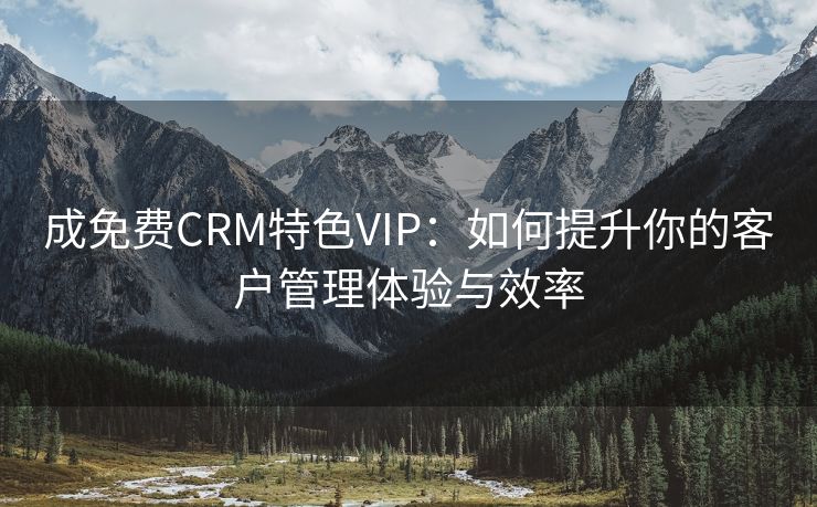 成免费CRM特色VIP：如何提升你的客户管理体验与效率