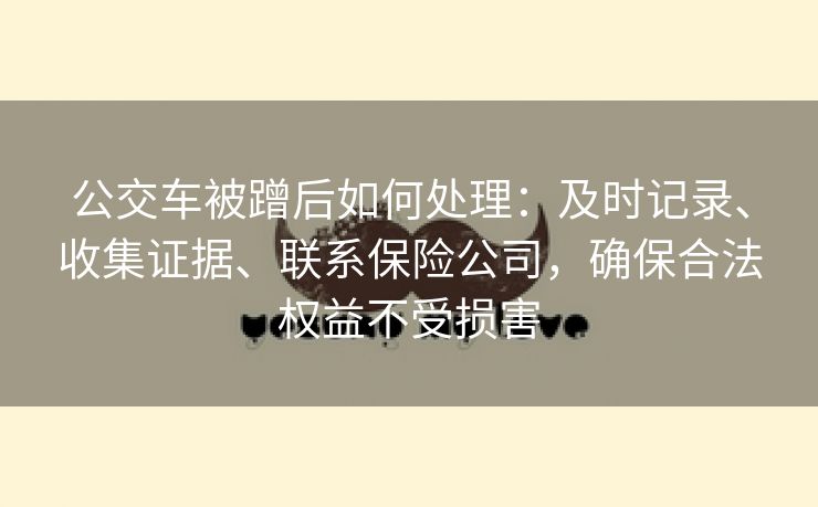 公交车被蹭后如何处理：及时记录、收集证据、联系保险公司，确保合法权益不受损害