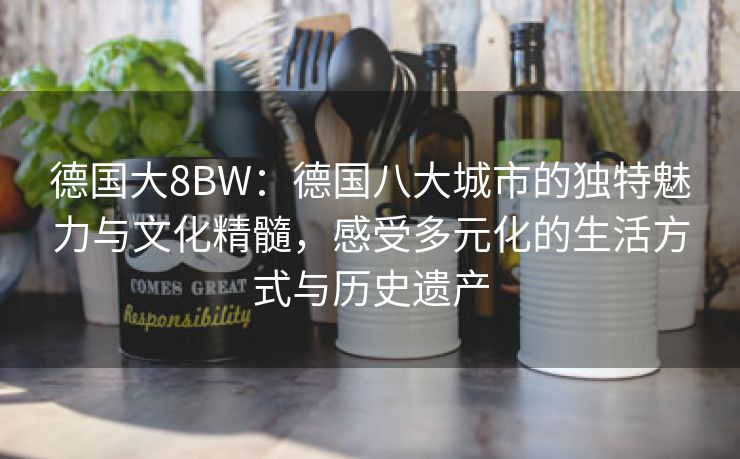 德国大8BW：德国八大城市的独特魅力与文化精髓，感受多元化的生活方式与历史遗产