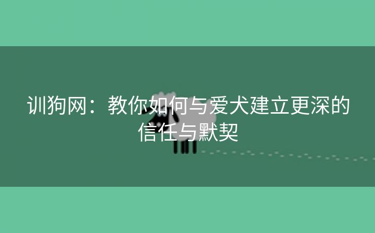 训狗网：教你如何与爱犬建立更深的信任与默契