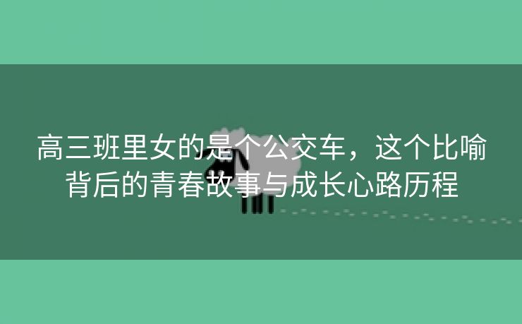 高三班里女的是个公交车，这个比喻背后的青春故事与成长心路历程