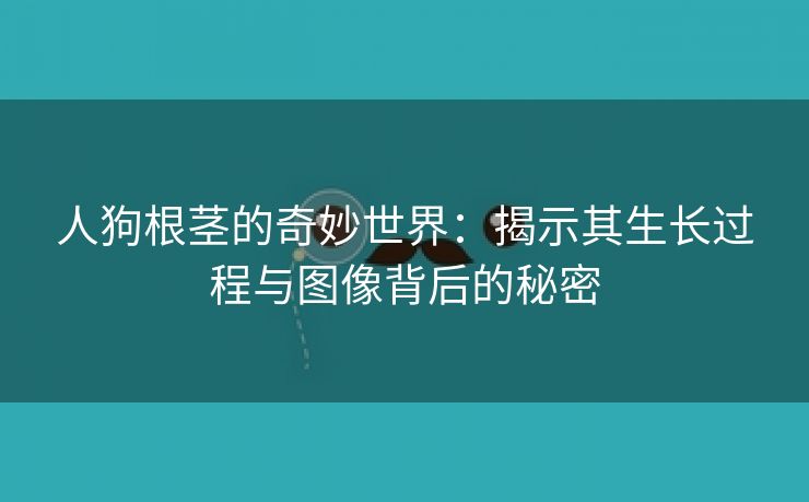 人狗根茎的奇妙世界：揭示其生长过程与图像背后的秘密