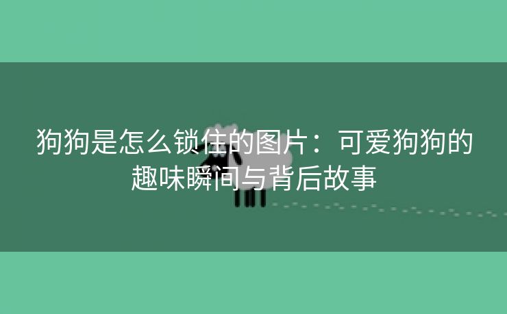 狗狗是怎么锁住的图片：可爱狗狗的趣味瞬间与背后故事