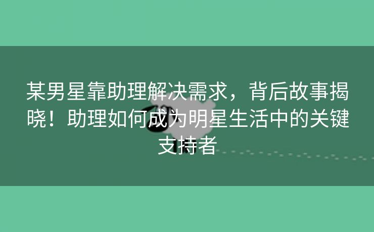 某男星靠助理解决需求，背后故事揭晓！助理如何成为明星生活中的关键支持者