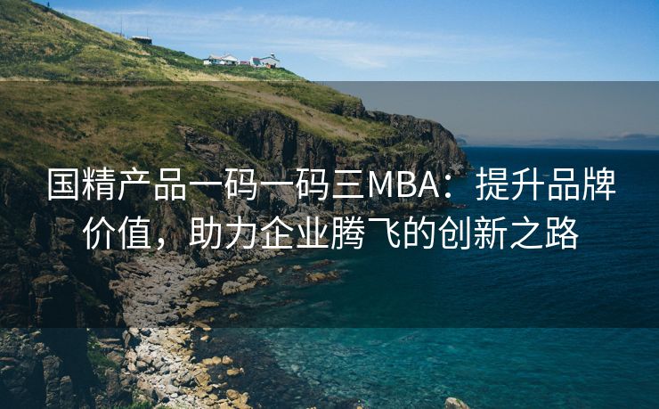 国精产品一码一码三MBA：提升品牌价值，助力企业腾飞的创新之路