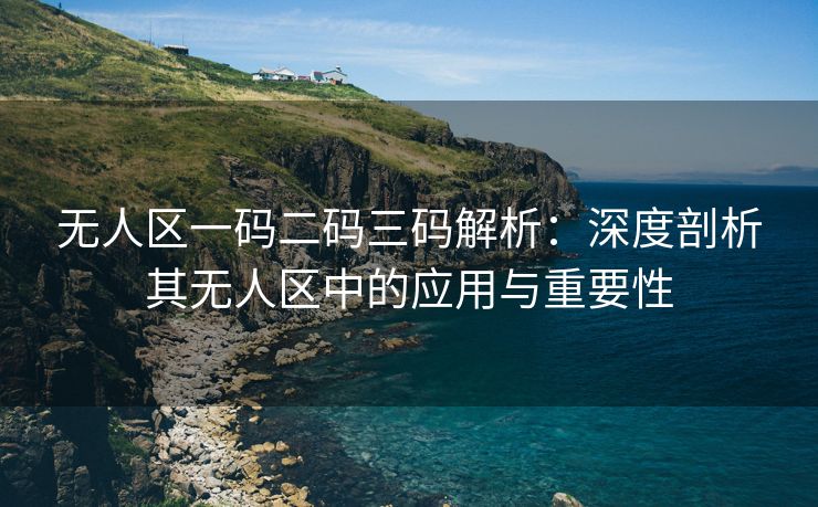 无人区一码二码三码解析：深度剖析其无人区中的应用与重要性