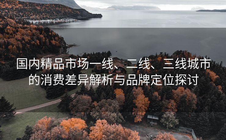 国内精品市场一线、二线、三线城市的消费差异解析与品牌定位探讨