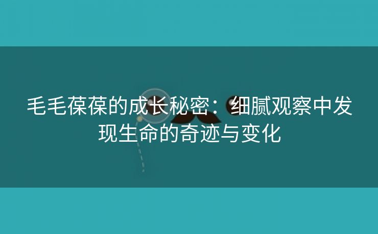 毛毛葆葆的成长秘密：细腻观察中发现生命的奇迹与变化