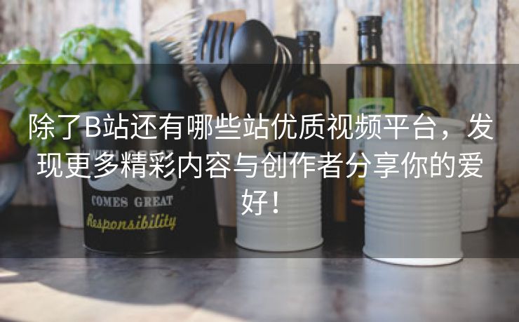 除了B站还有哪些站优质视频平台，发现更多精彩内容与创作者分享你的爱好！