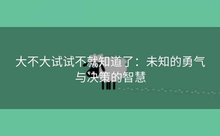 大不大试试不就知道了：未知的勇气与决策的智慧