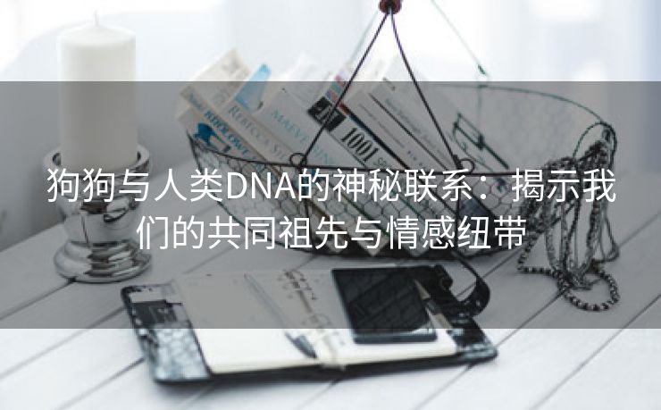 狗狗与人类DNA的神秘联系：揭示我们的共同祖先与情感纽带