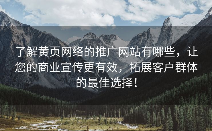 了解黄页网络的推广网站有哪些，让您的商业宣传更有效，拓展客户群体的最佳选择！