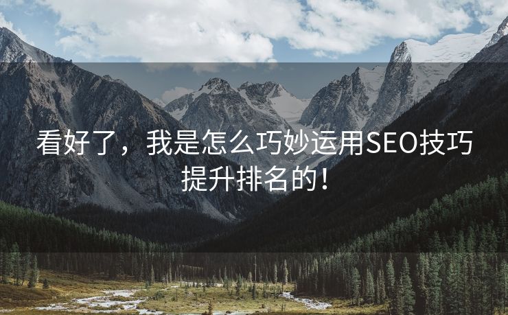 看好了，我是怎么巧妙运用SEO技巧提升排名的！