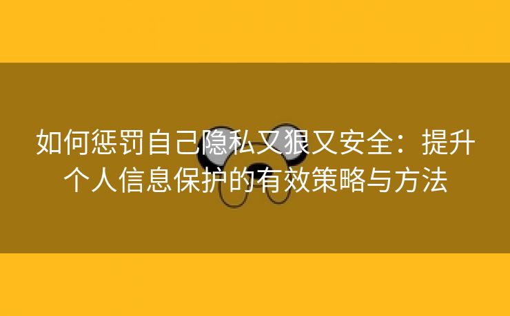 如何惩罚自己隐私又狠又安全：提升个人信息保护的有效策略与方法