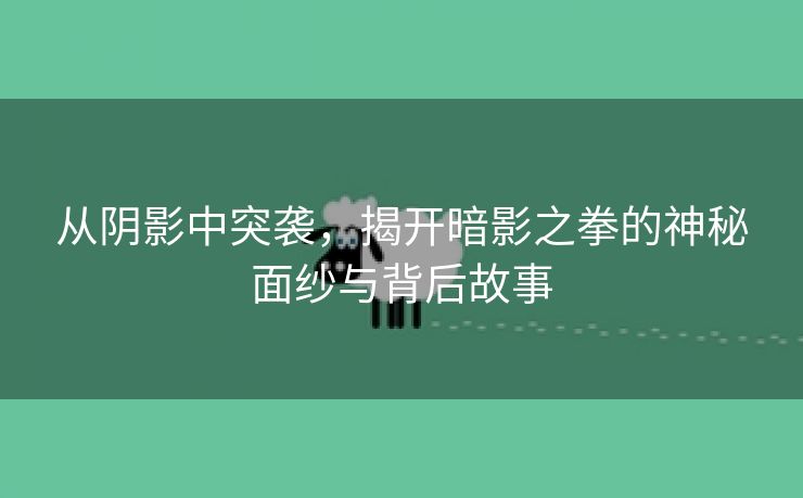 从阴影中突袭，揭开暗影之拳的神秘面纱与背后故事