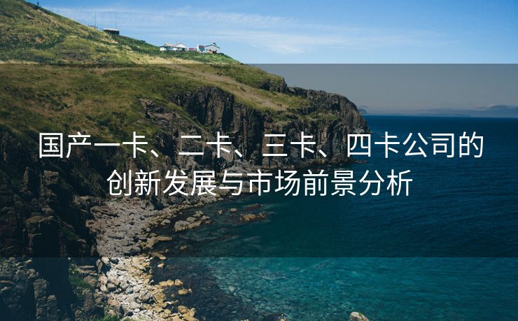 国产一卡、二卡、三卡、四卡公司的创新发展与市场前景分析