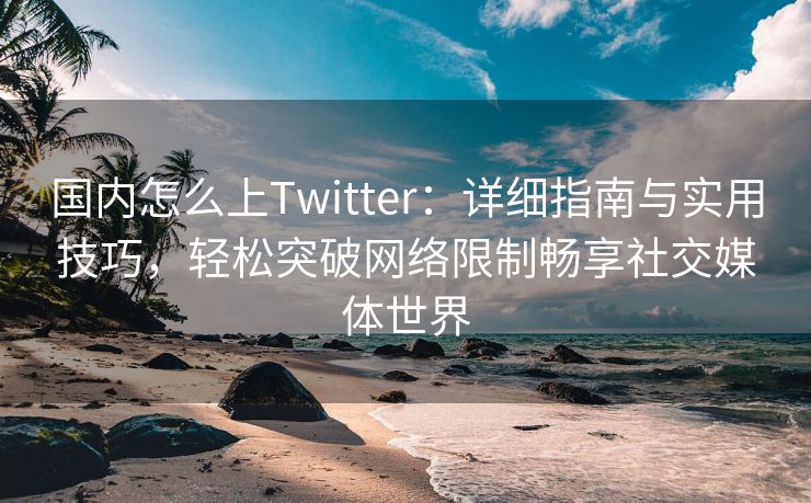 国内怎么上Twitter：详细指南与实用技巧，轻松突破网络限制畅享社交媒体世界