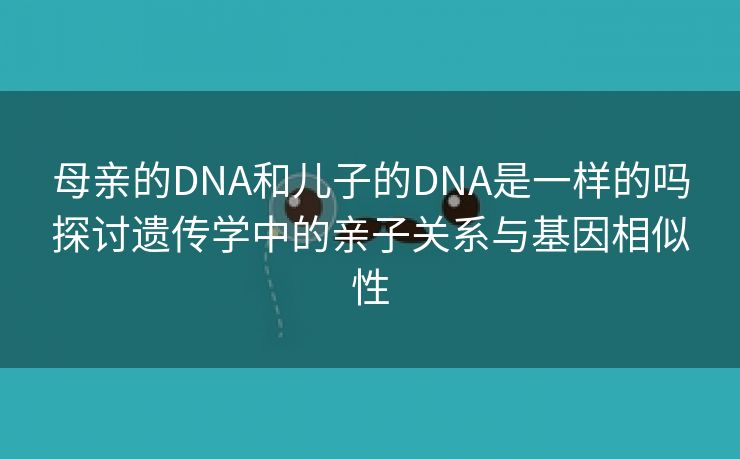 母亲的DNA和儿子的DNA是一样的吗探讨遗传学中的亲子关系与基因相似性