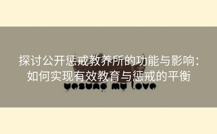 探讨公开惩戒教养所的功能与影响：如何实现有效教育与惩戒的平衡