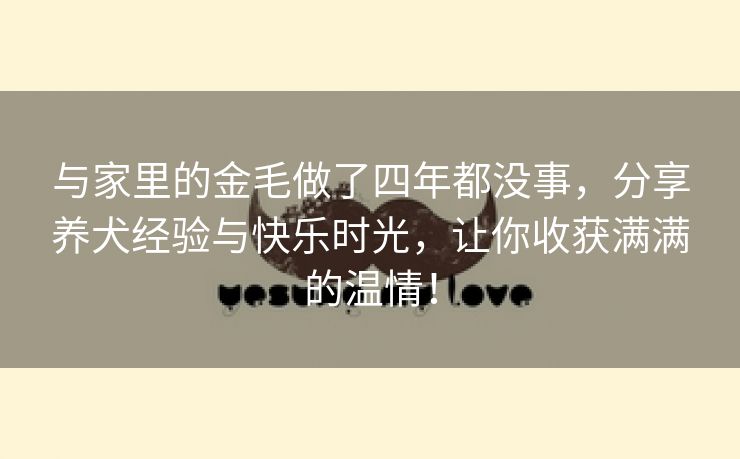 与家里的金毛做了四年都没事，分享养犬经验与快乐时光，让你收获满满的温情！