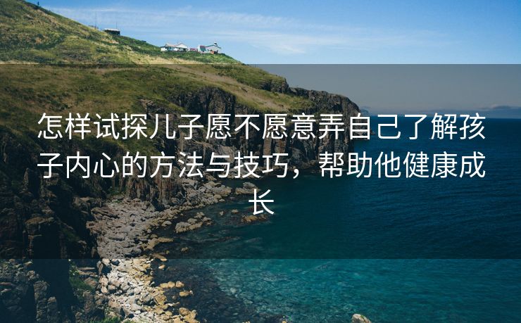 怎样试探儿子愿不愿意弄自己了解孩子内心的方法与技巧，帮助他健康成长