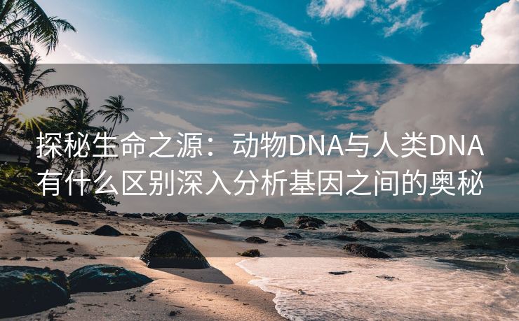 探秘生命之源：动物DNA与人类DNA有什么区别深入分析基因之间的奥秘