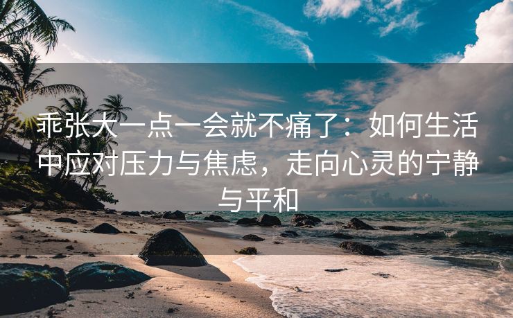 乖张大一点一会就不痛了：如何生活中应对压力与焦虑，走向心灵的宁静与平和