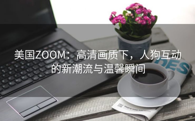 美国ZOOM：高清画质下，人狗互动的新潮流与温馨瞬间