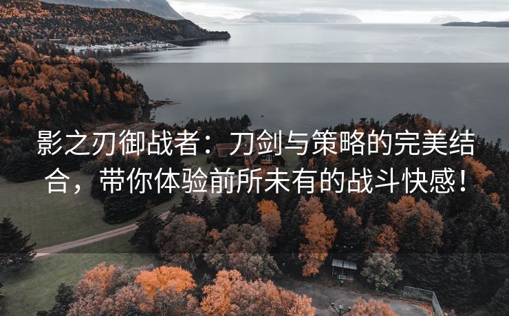 影之刃御战者：刀剑与策略的完美结合，带你体验前所未有的战斗快感！