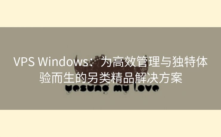 VPS Windows：为高效管理与独特体验而生的另类精品解决方案