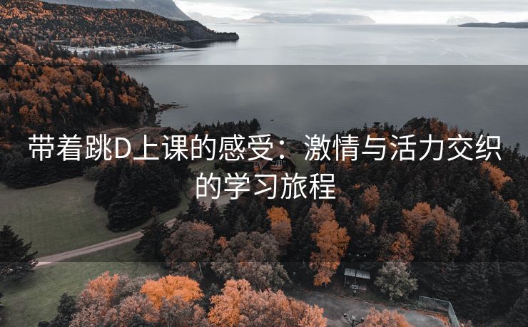 带着跳D上课的感受：激情与活力交织的学习旅程